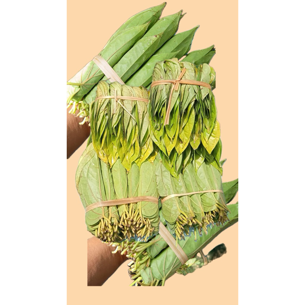 

sirih top/sirih sultan sirih karo belo man belo