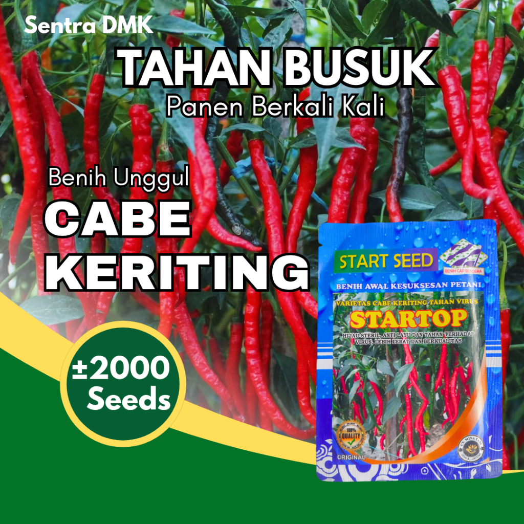 Benih Cabe Keriting STARTOP Tahan Virus | Anti Layu, Panen 75 Hari, Lebih Lebat Tahan Busuk