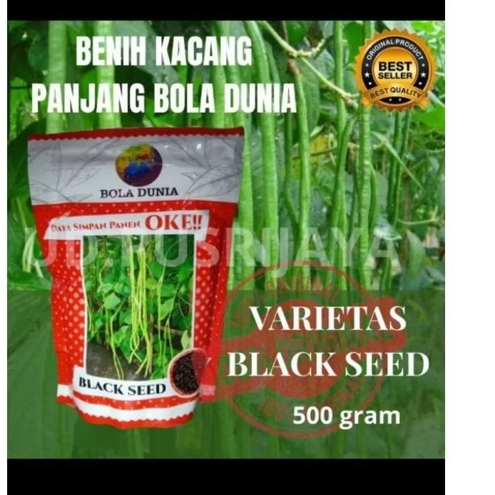 benih kacang panjang black seed bola dunia daya simpan panen oke 500 gr daratan rendah sampai meneng