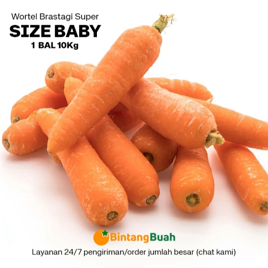 

Wortel Segar BABY (size BABY) Bal / Wortel Brastagi Baby Fresh / Carrot Fresh / Fresh Carrot / Wortel Super Segar / Sayuran Segar /Wortel Import / 10 Kg / Bal