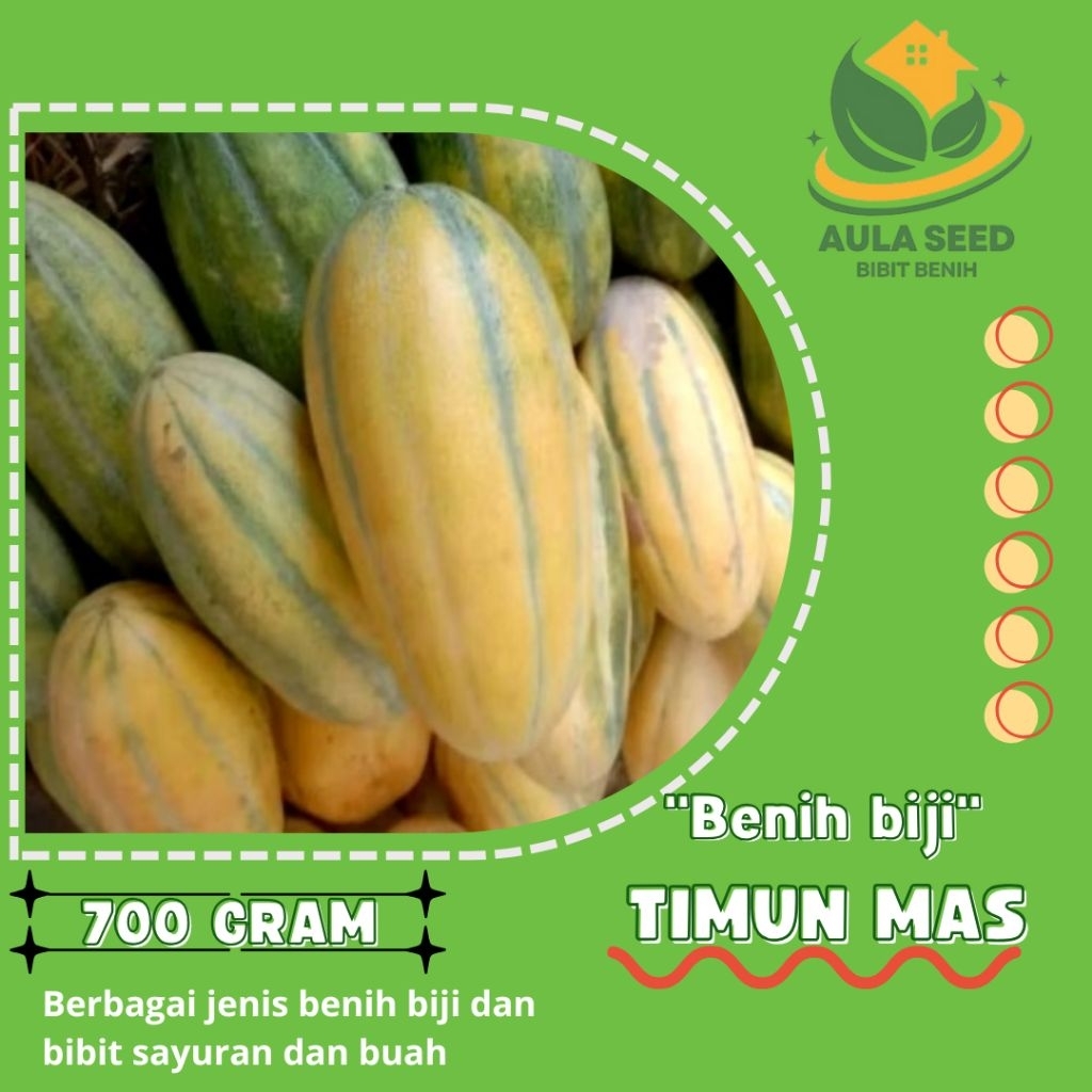 benih biji timun mas 500 gram benih biji