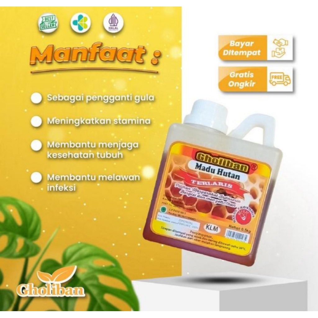 

Madu Hutan KLM Gholiban 500 Gram Halal MUI Madu KLM