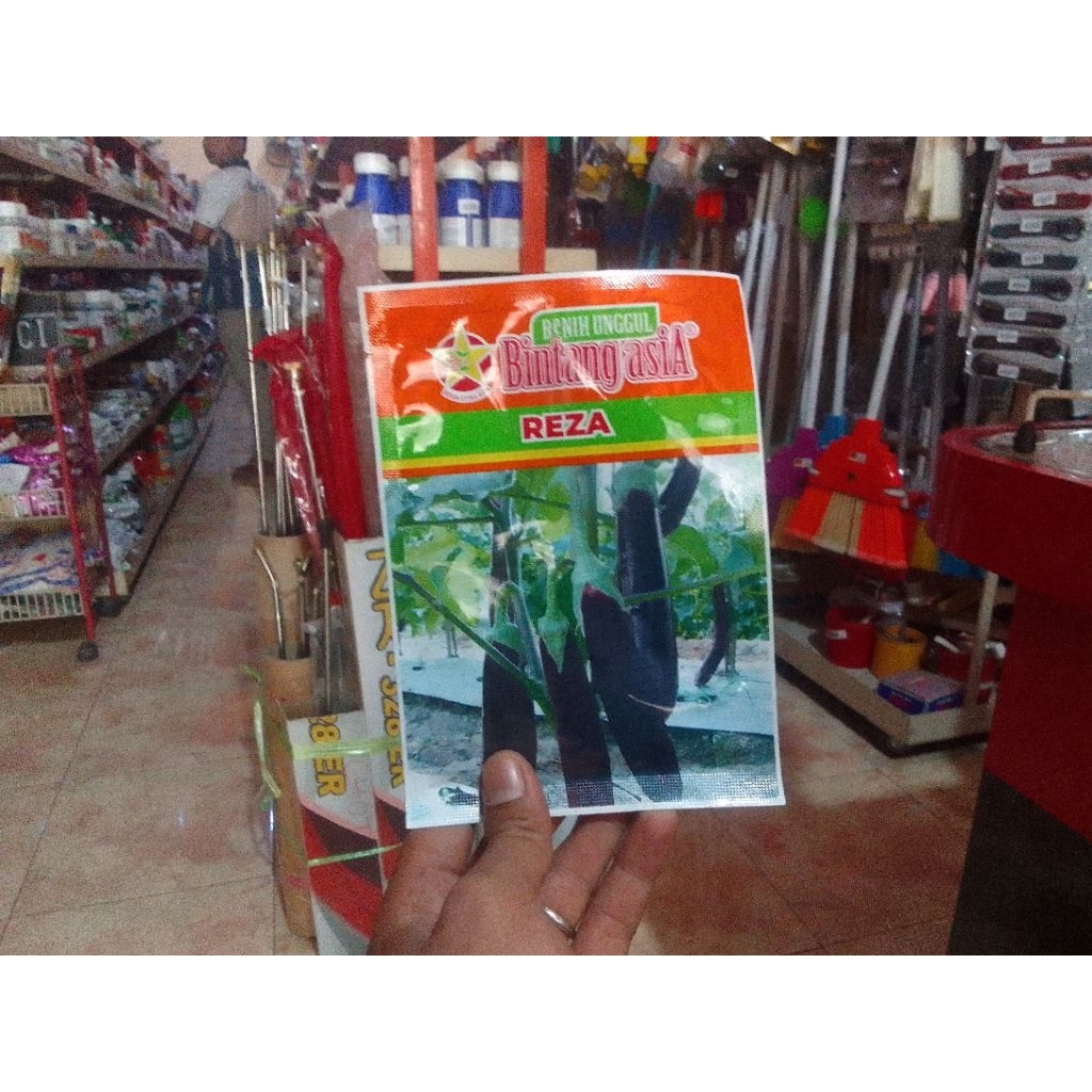 

TERUNG REZA Bibit unggul Bintang Asia Original