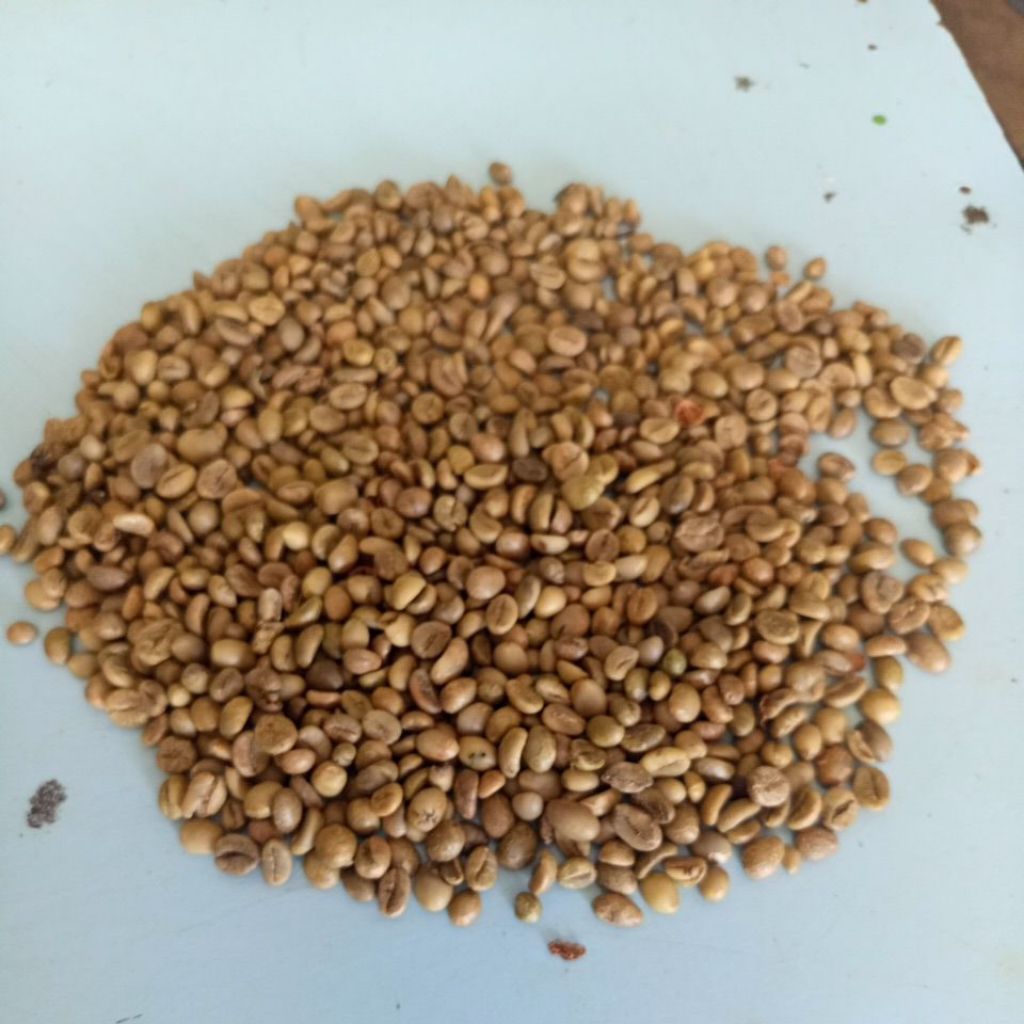 

KOPISEMERUkemasan250grdijaminAsli