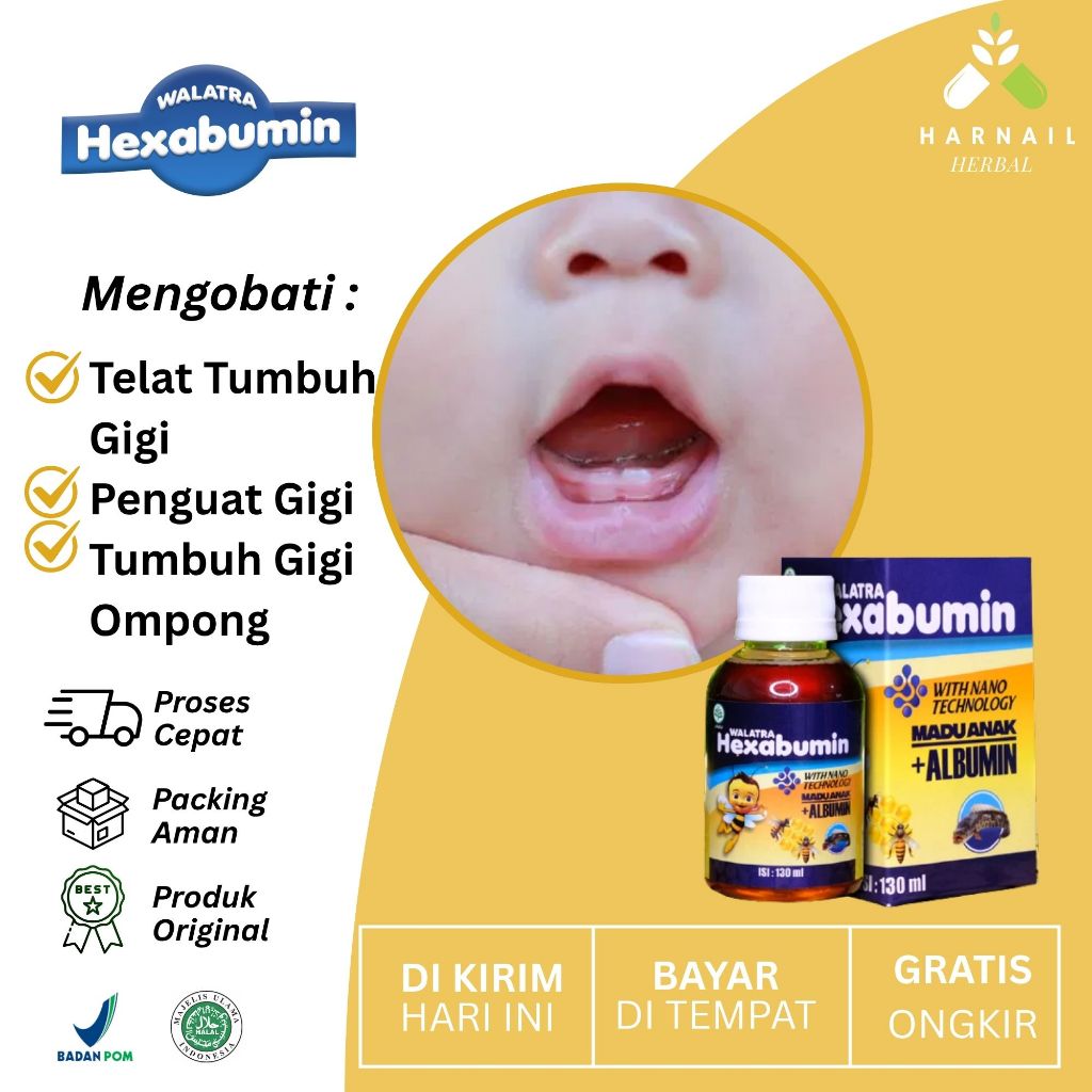 Walatra Hexabumin Obat Anak Telat Tumbuh Gigi Penguat Gigi Untuk Anak Tumbuh Gigi Ompong