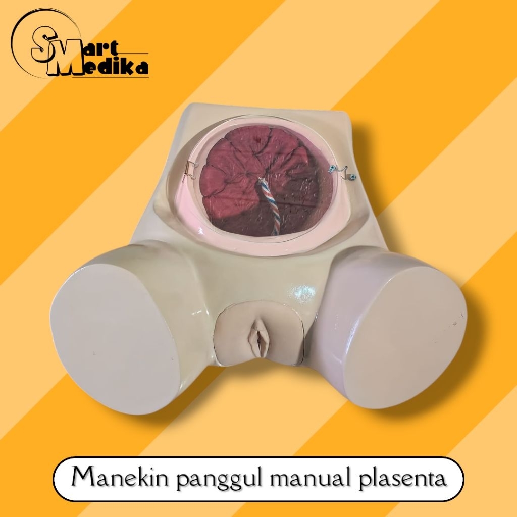 PHANTOM MANEKIN PANGGUL MANUAL PLASENTA / MANIKIN MANUAL PANGGUL PLASENTA