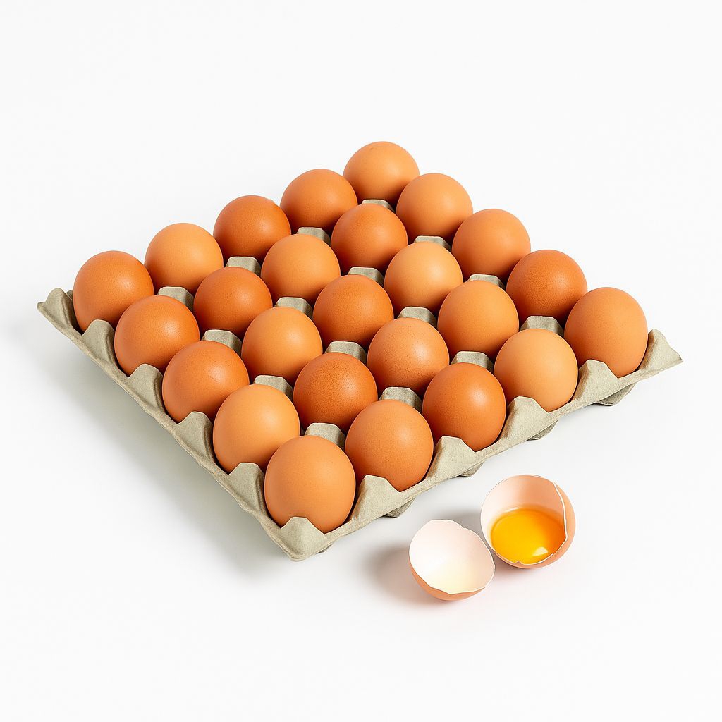 

TELUR AYAM SEGAR 30/15 BUTIR