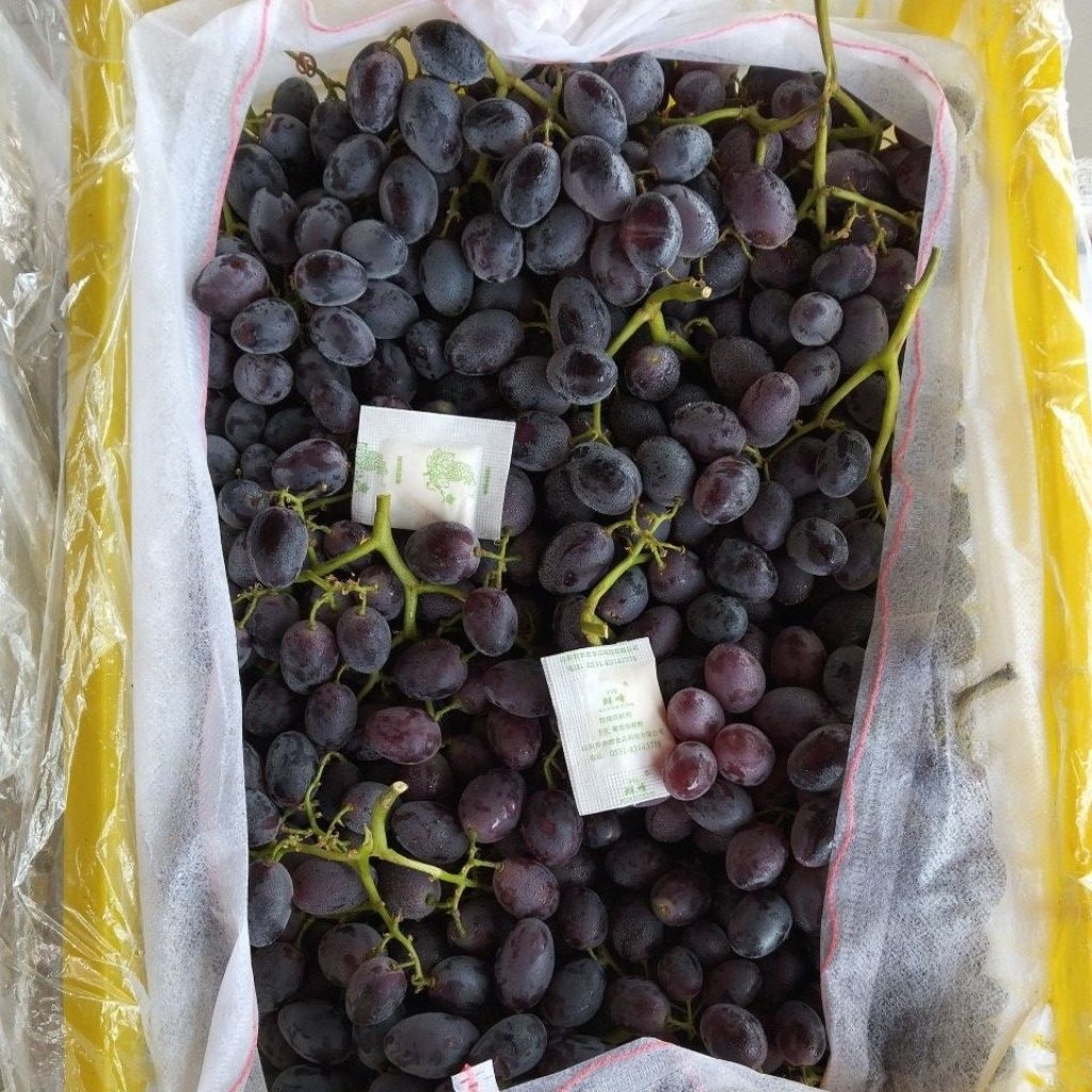 

Buah anggur hitam RRC // buah anggur hitam non biji fresh 1kg