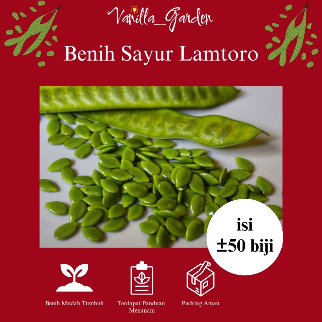 Benih Sayur Lamtoro/Petai China