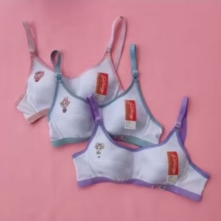 Bra remaja /2pcs(PRELOVED)