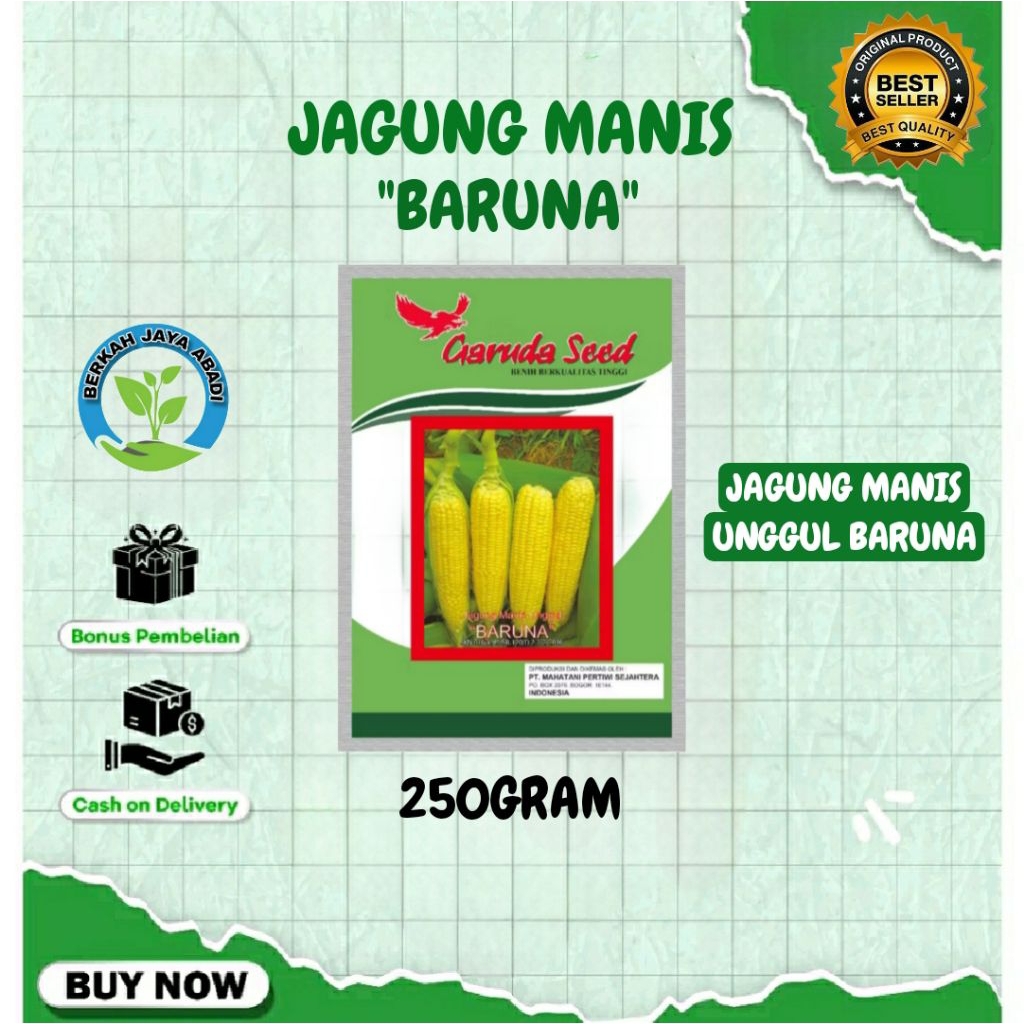 

Temurah Jagung Manis Unggul "Baruna" Kemasan 250g Garuda Seed Kemasan Pabrik