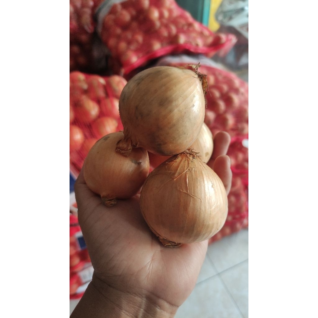 

[GROSIR] BAWANG BOMBAI BOMBAY SUPER PREMIUM BERKUALITAS TERMURAH 250 500 750 GRAM 1KG
