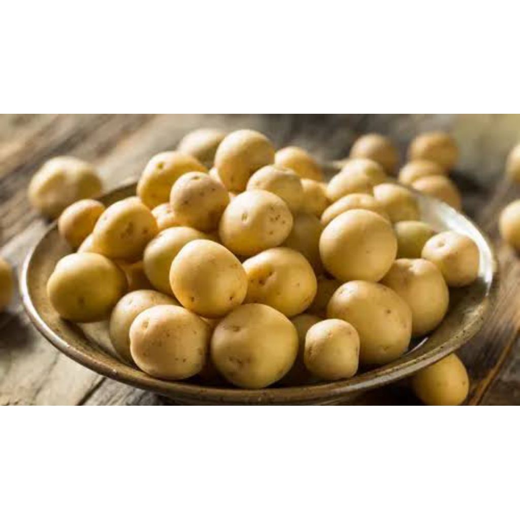 

Kentang Rendang fresh 1kg/ kentang kecil / Baby potato