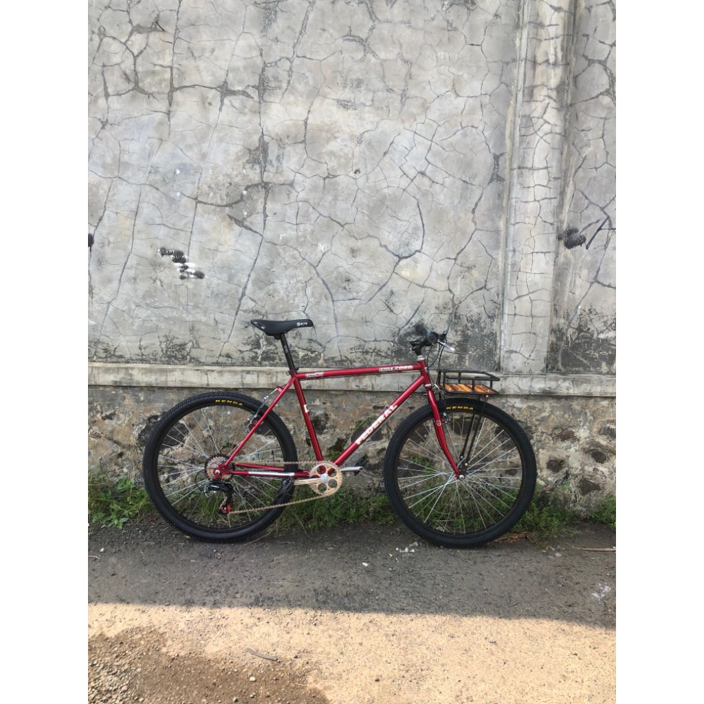 Commuter Bike Federal | Federal Street cat