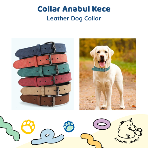 Dog Collar | Kalung Anjing Besar | Leather Collar | Dog Collar Bahan Kulit | Kalung Jalan Anjing