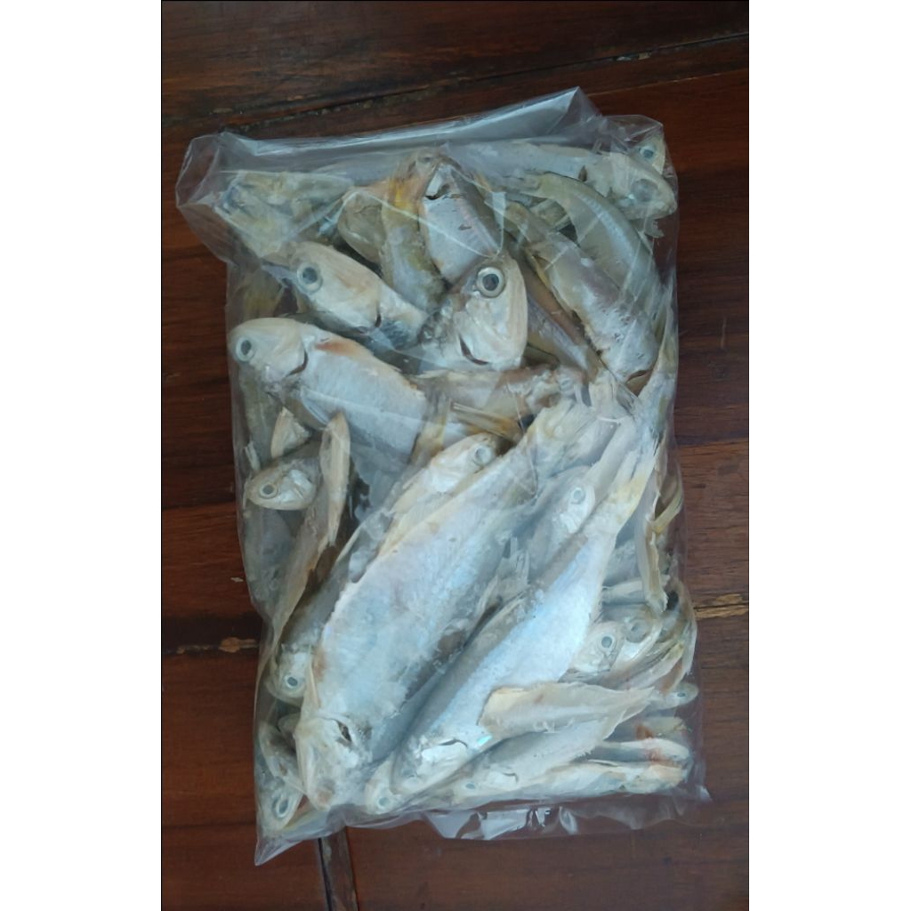 

Ikan Asin Bilis / Lempuk