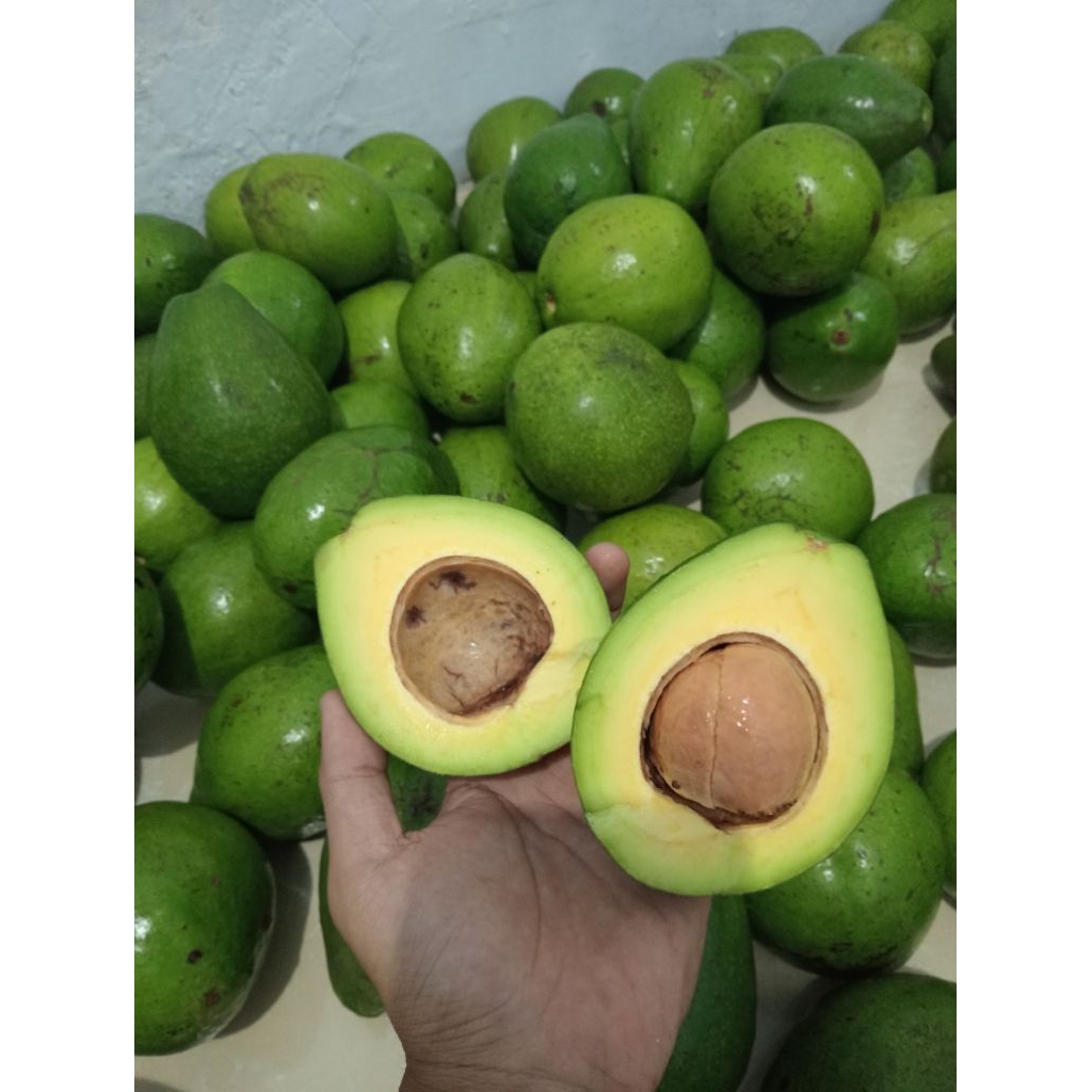 

ALPUKAT MENTEGA SUPER FRESH/ISI 2-3 DOMINAN 3/MENTAHAN