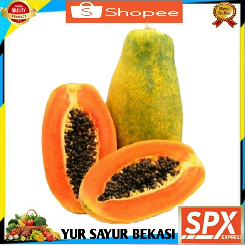 

Buah Pepaya/Paya California (Perbiji).