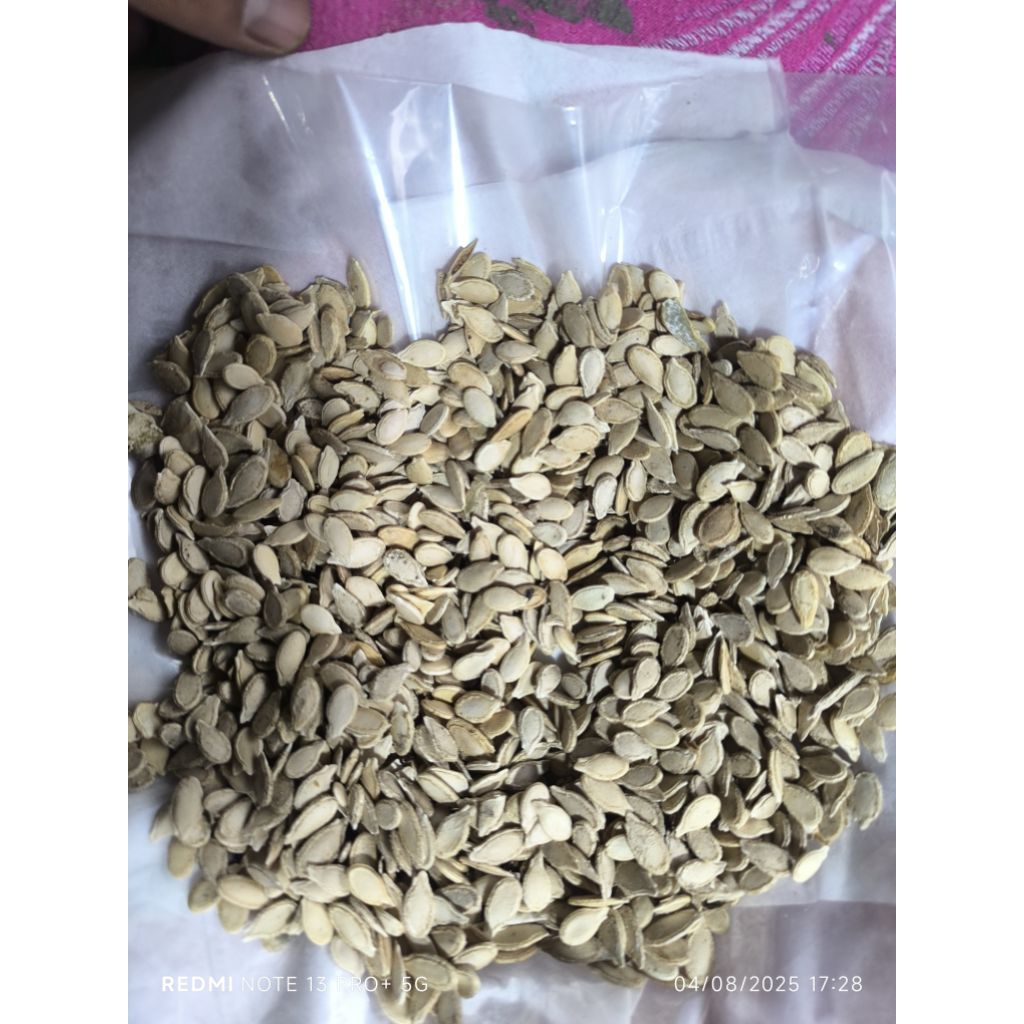 Biji Gundur super Kering  (Per Ons)