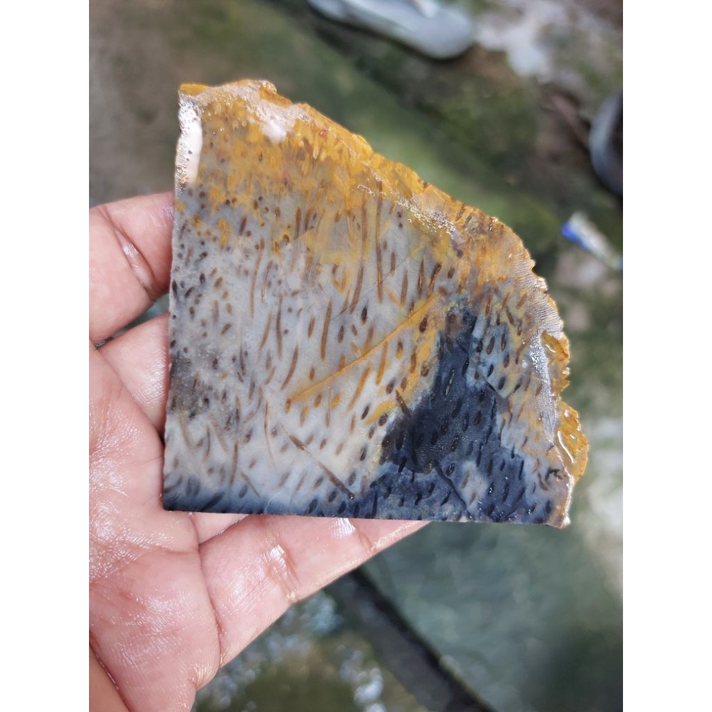 Lempengan batu akik fosil kayu aren