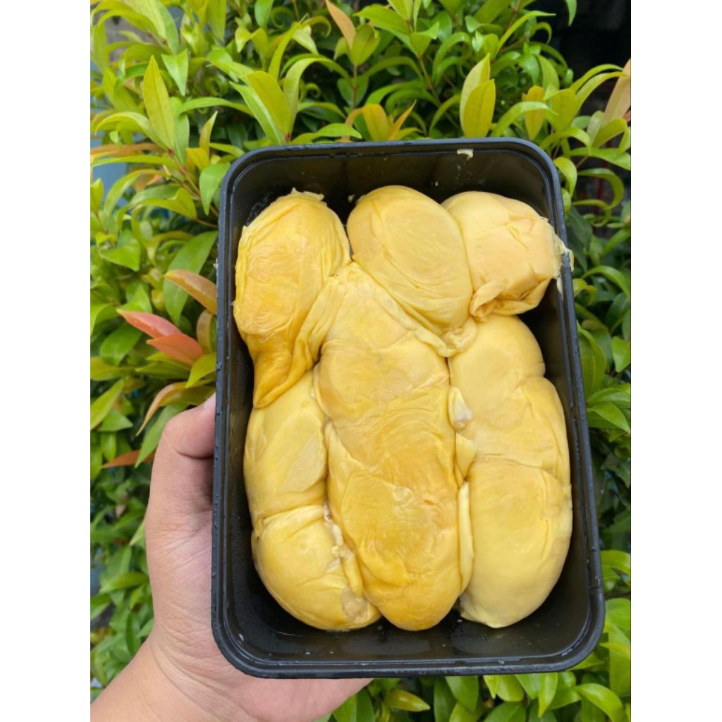 

Durian kupas Medan nias premium garansi manis