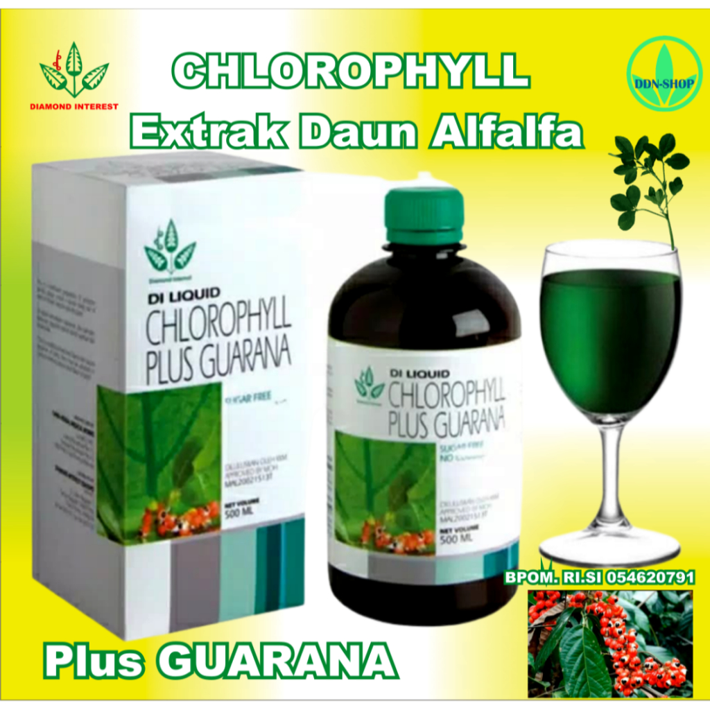 CHLOROPHYLL+ GUARANA 500 ML DIAMOND INTEREST REGENERASI SEL DARAH PEMBERSIH RACUN pH DARAH