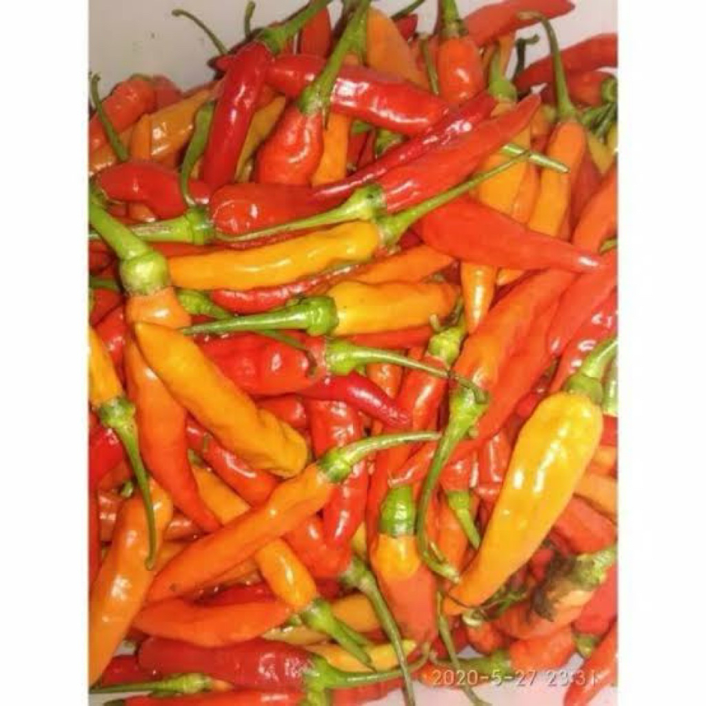 

CABE RAWIT BURUNG 100 gram - 36 FRESH PALEMBANG