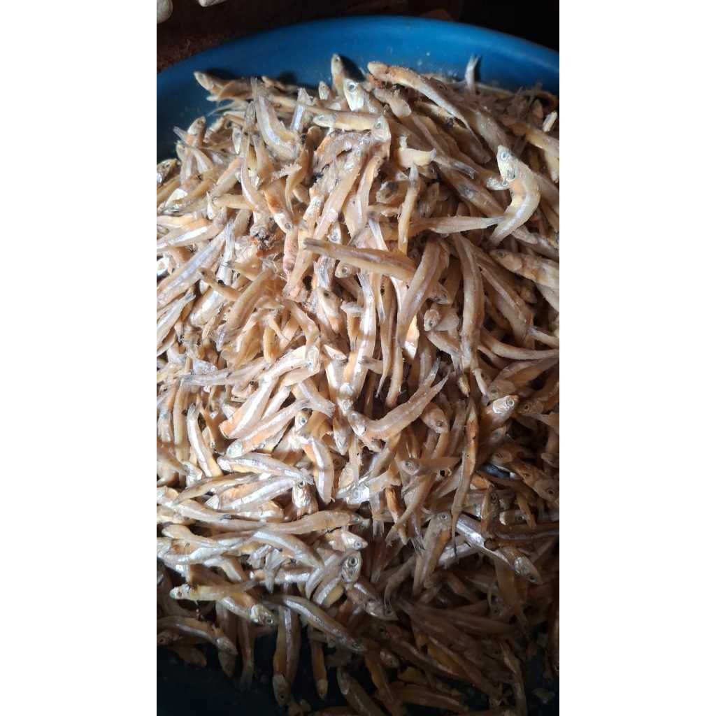 

IKAN ASIN TERI SEDANG KHAS CILACAP ENAK GURIH