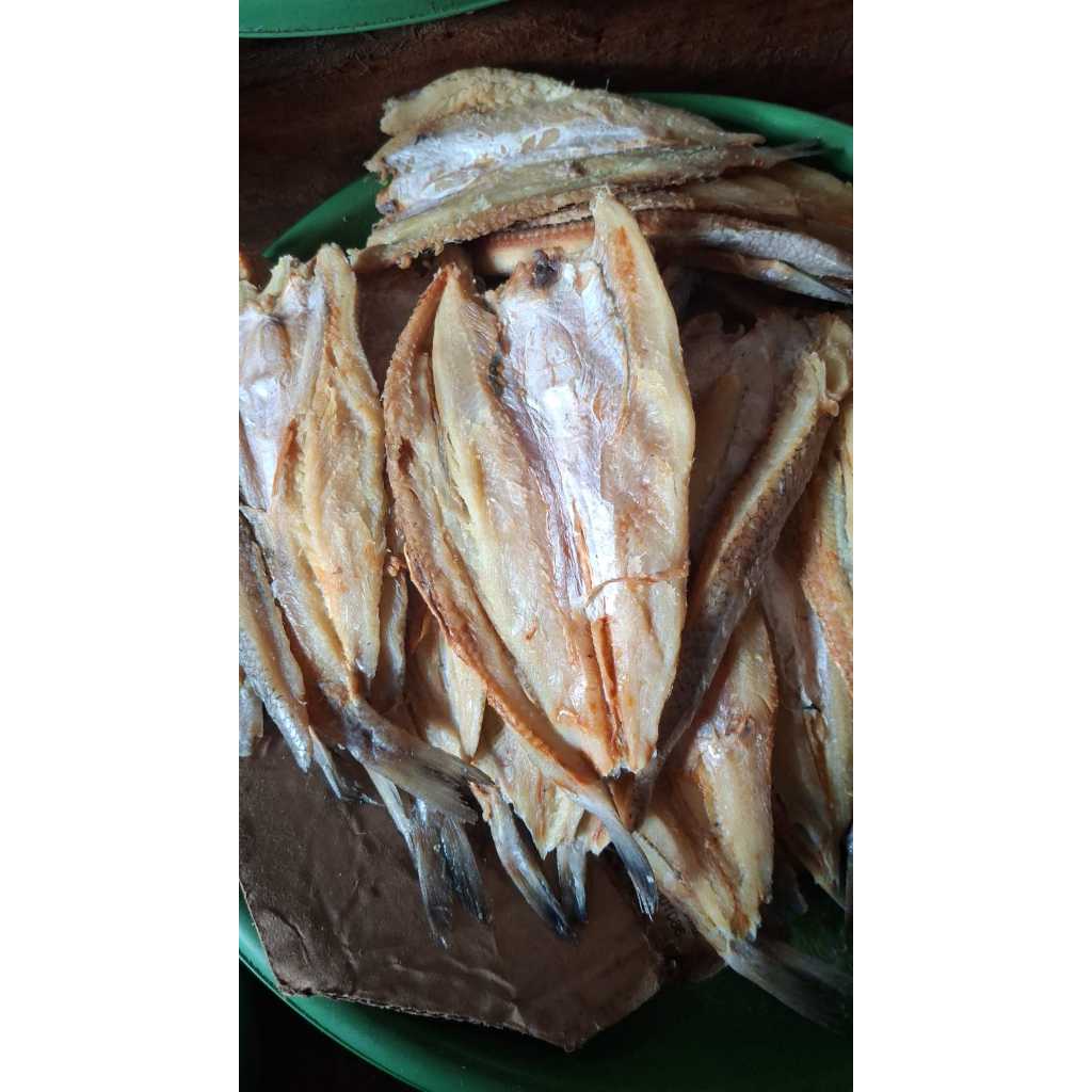 

IKAN ASIN KERING GABUS BELAH BERDAGING KHAS CILACAP