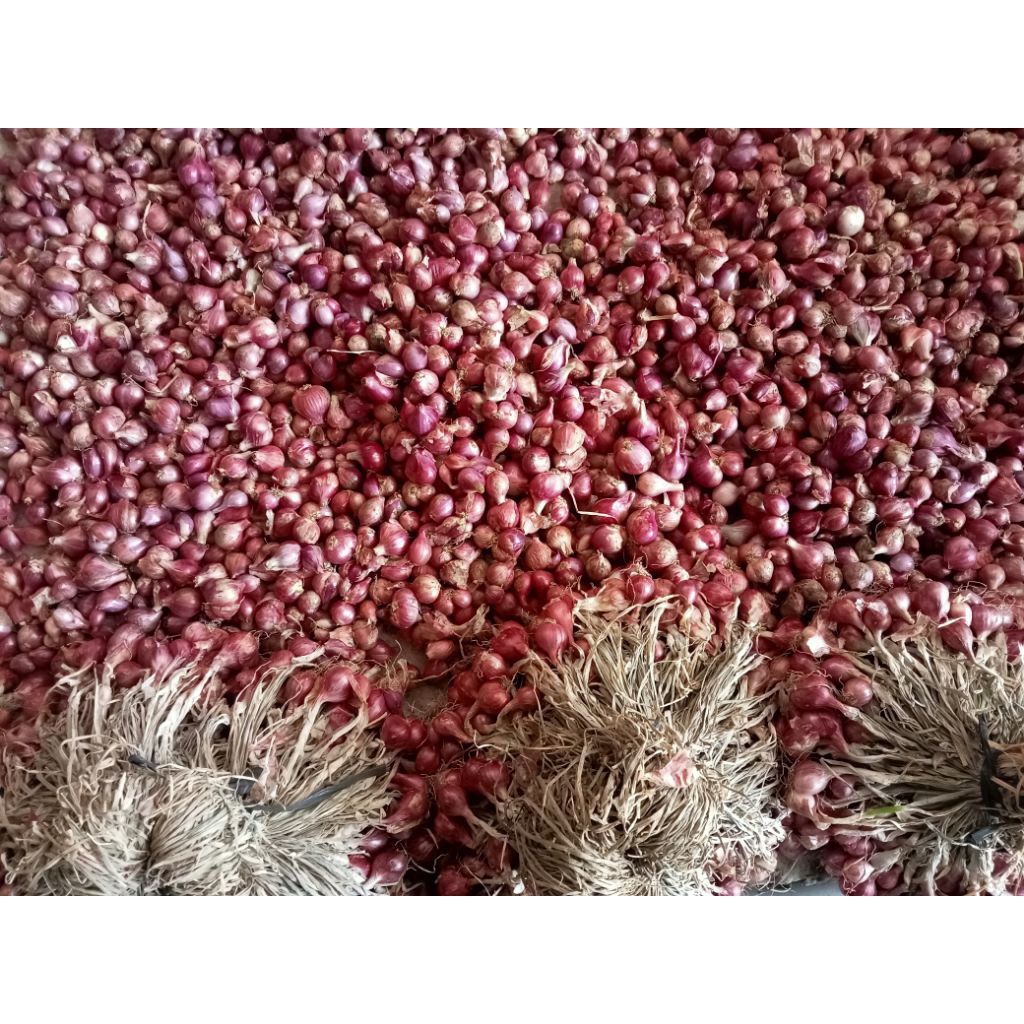 

Bawang merah 1kg