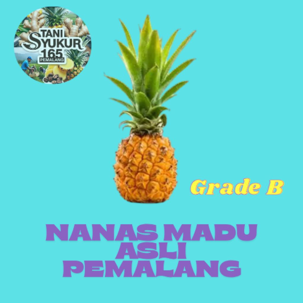 

NANAS MADU PEMALANG GRADE B