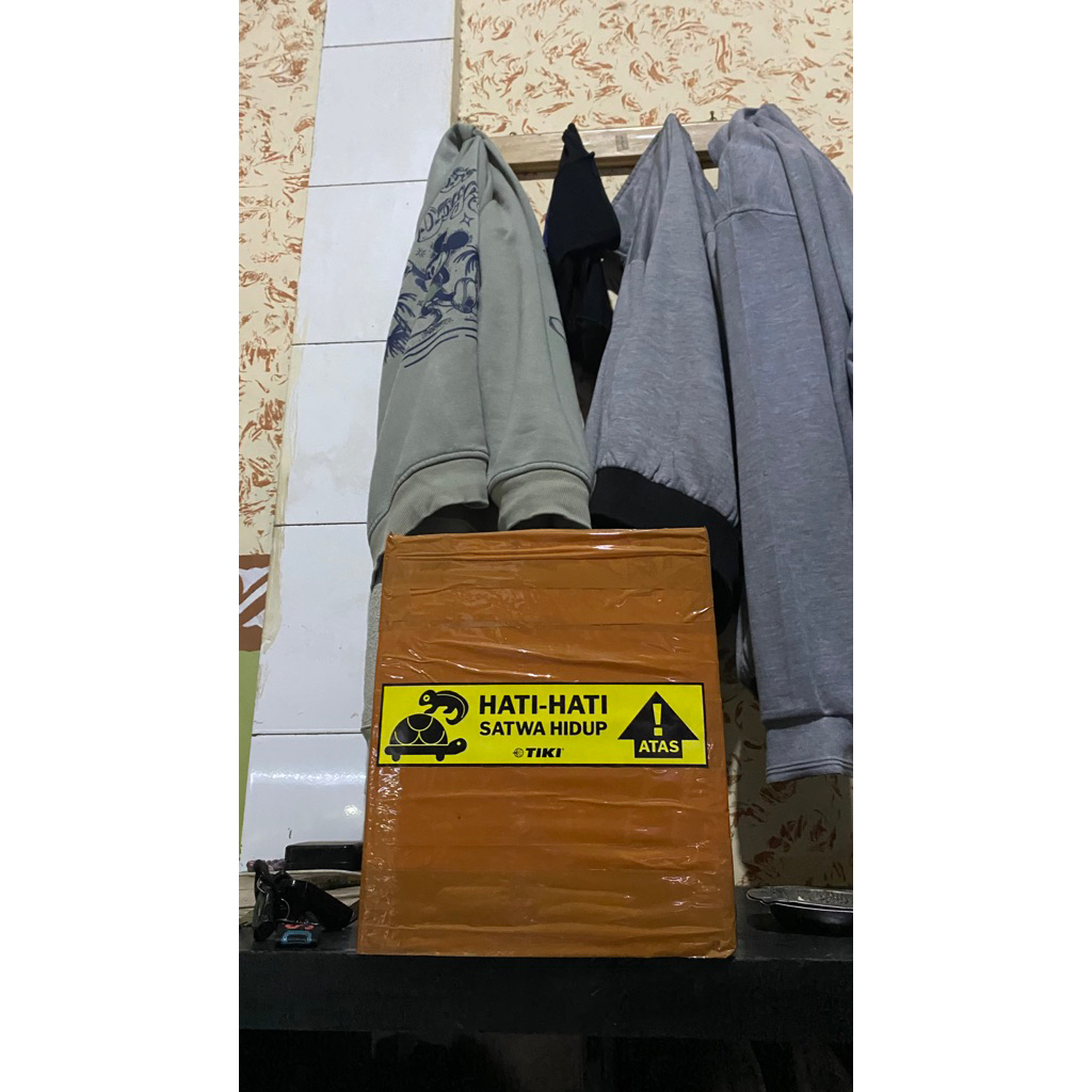 pbass xingu size 10-11 cm