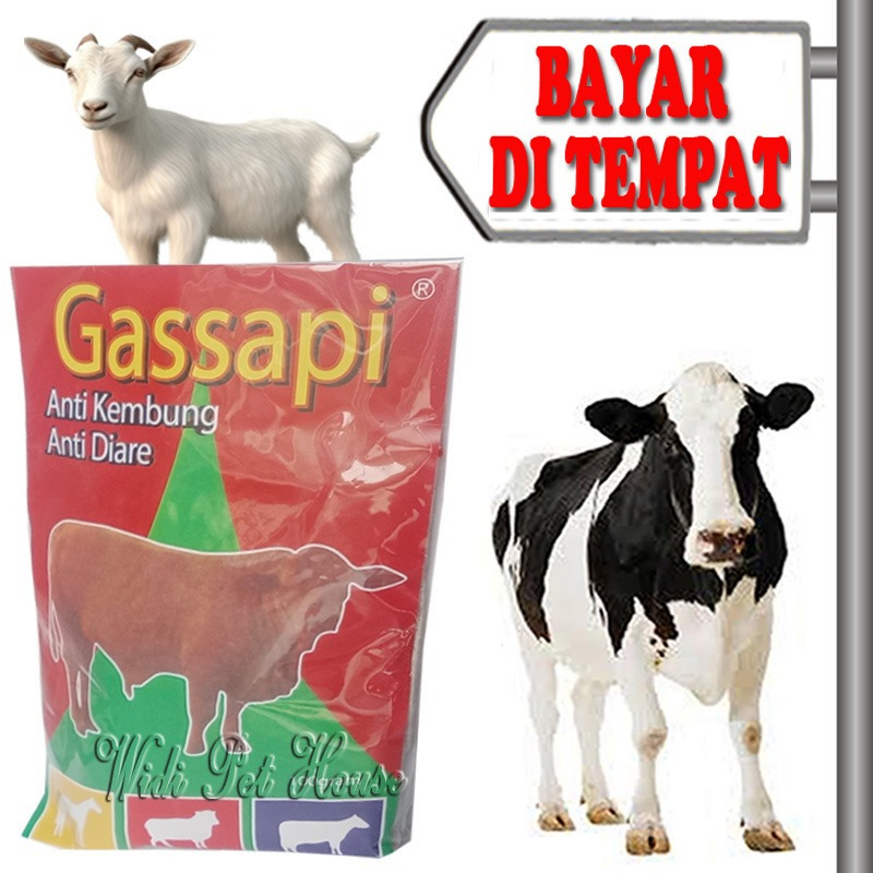 Obat Diare Mencret Kembung Sapi Kambing GasSapi Hewan Ternak