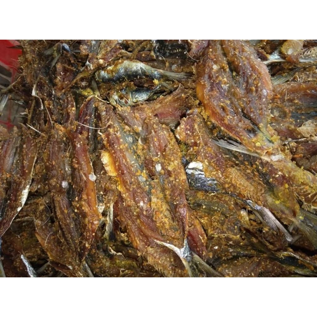 Bedetan (sudang) lemuru