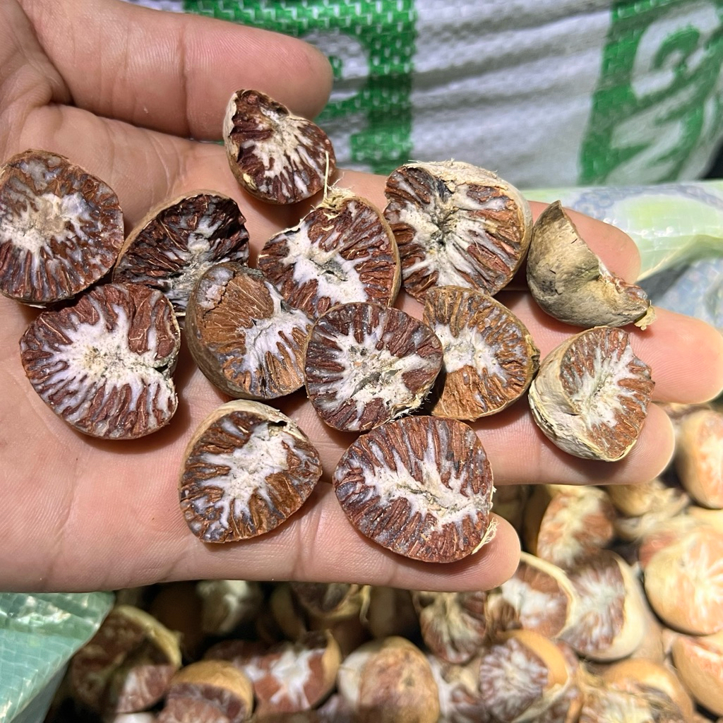 BIJI PINANG KERING KUALITAS SUPER