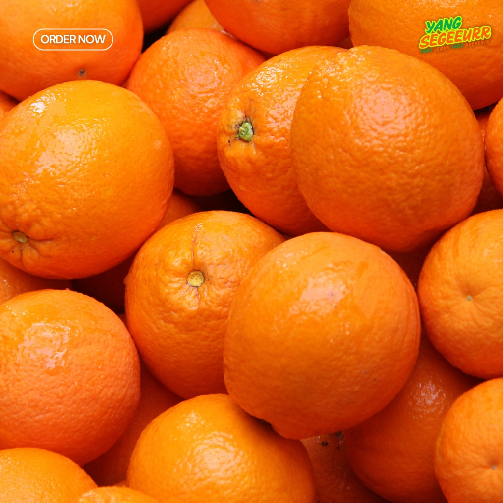

Jeruk Sunkist Valencia Fresh Import 5kg Termurah Di Jaksel