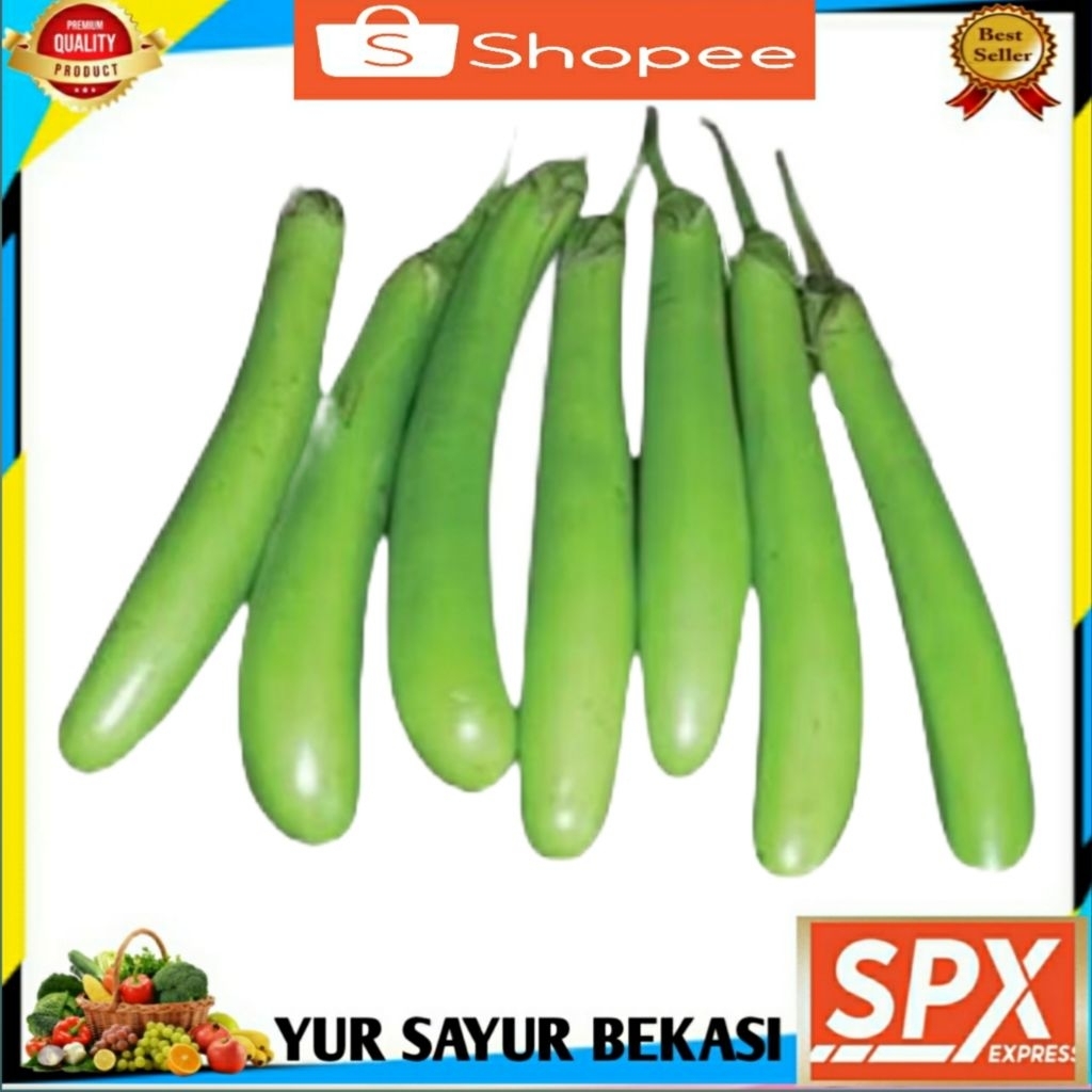 

Terong Hijau Segar 500gr.