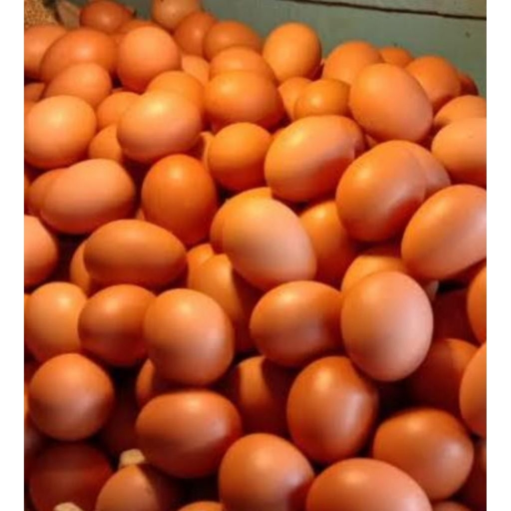 

TELUR AYAM NEGERI FRESH per KG