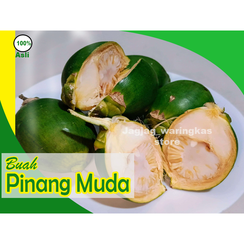 

Promo Pinang Jambe (Buah Muda) Obat Herbal Segar 1 Kiloan
