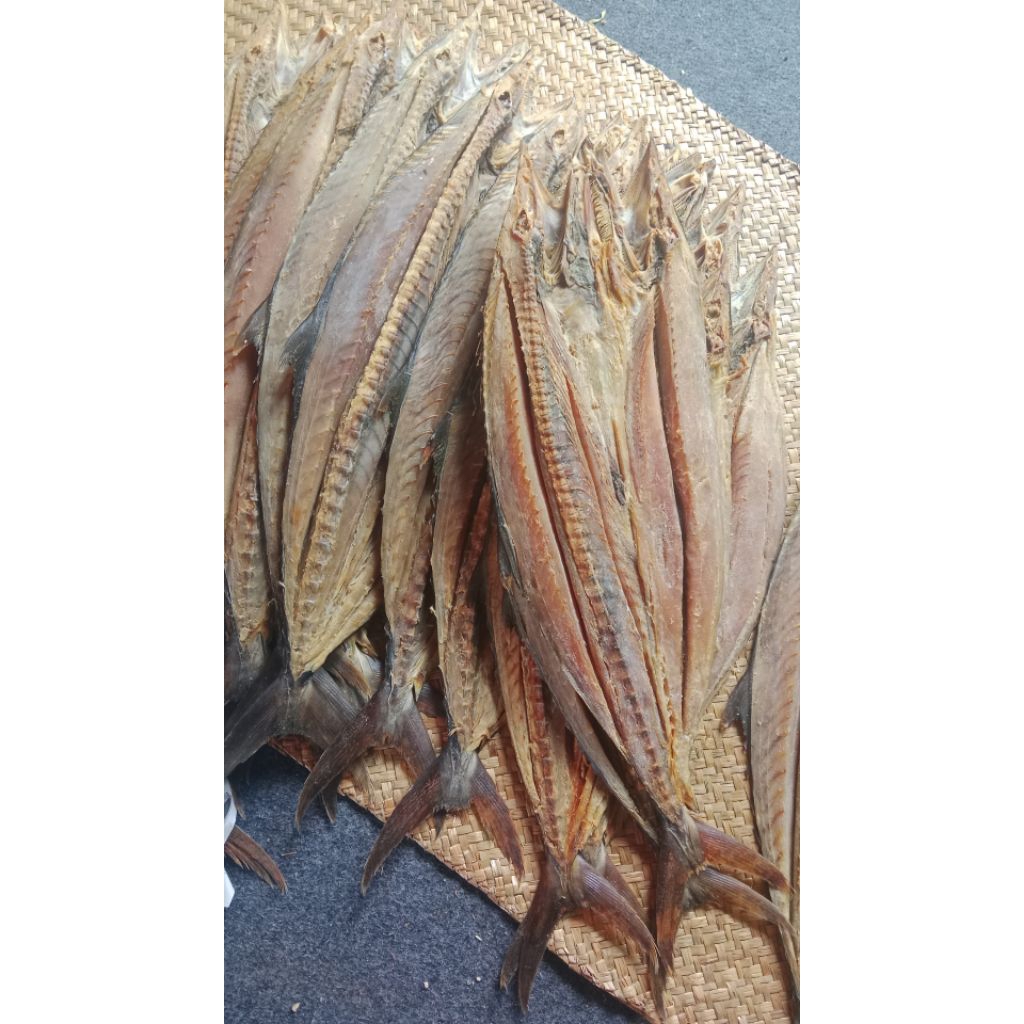 

ikan telang tengiri asli tabanio