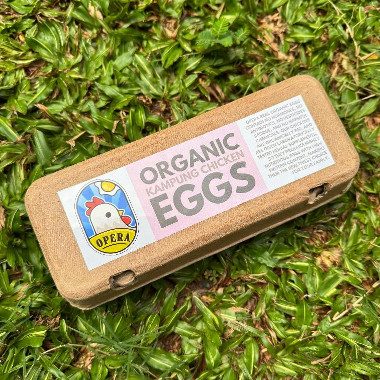 

Telur Ayam Organik - Opera Eggs | Telur Ayam Kampung & Telur Ayam Negeri