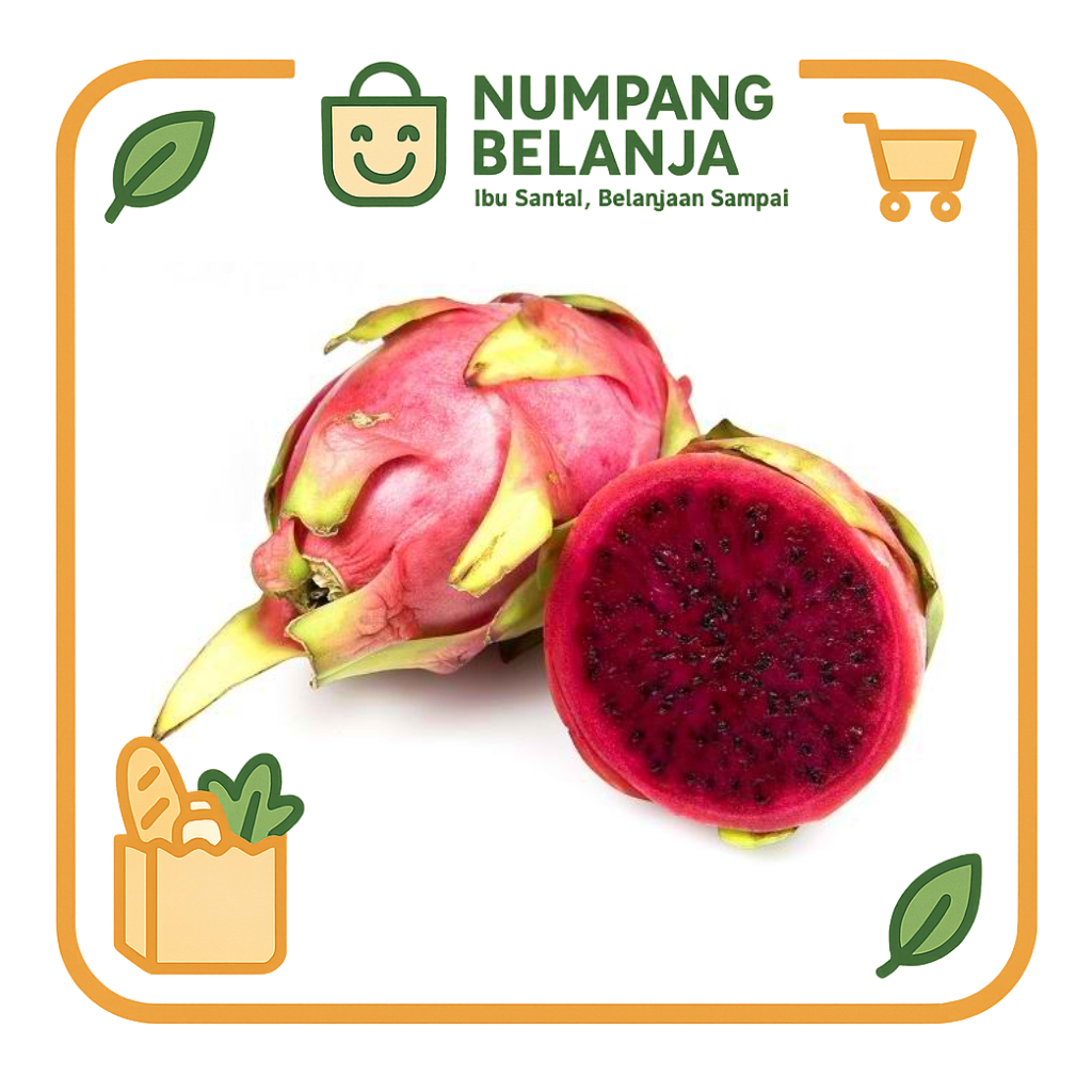 

buah naga merah dragon fruit fresh [1 buah]