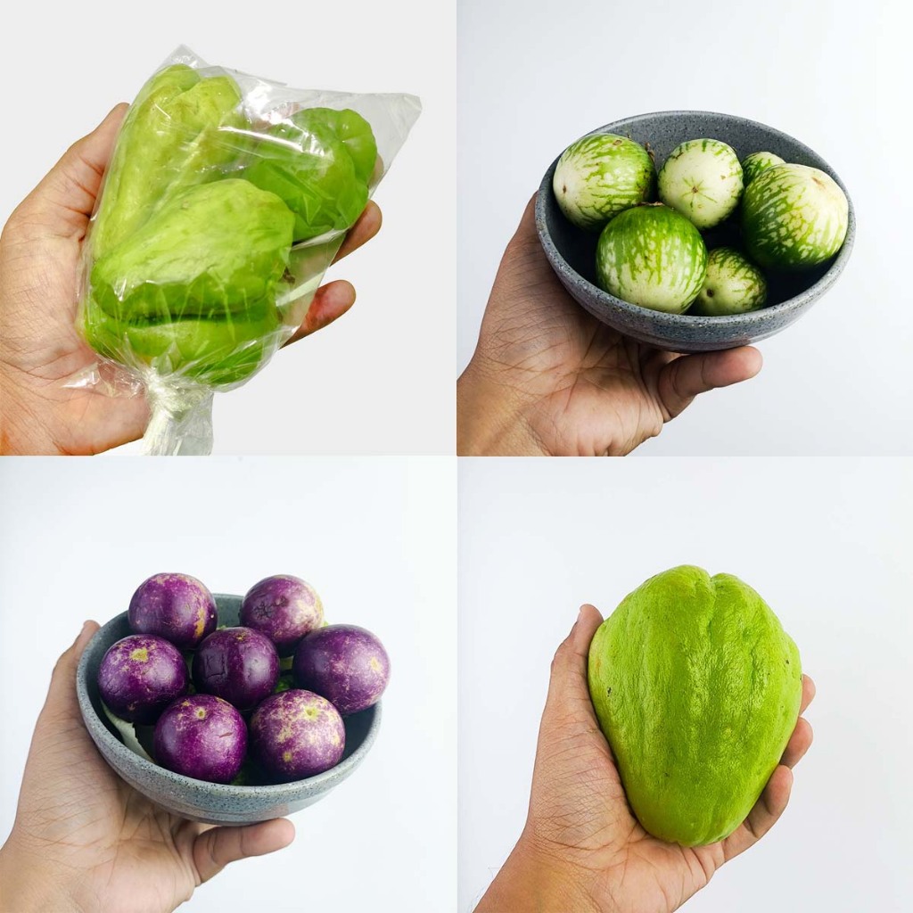 

Sayuran Segar Baby Labu, Labu Acar, Labu Siam, Terong Bulat, Terong Bulat Ungu 250g