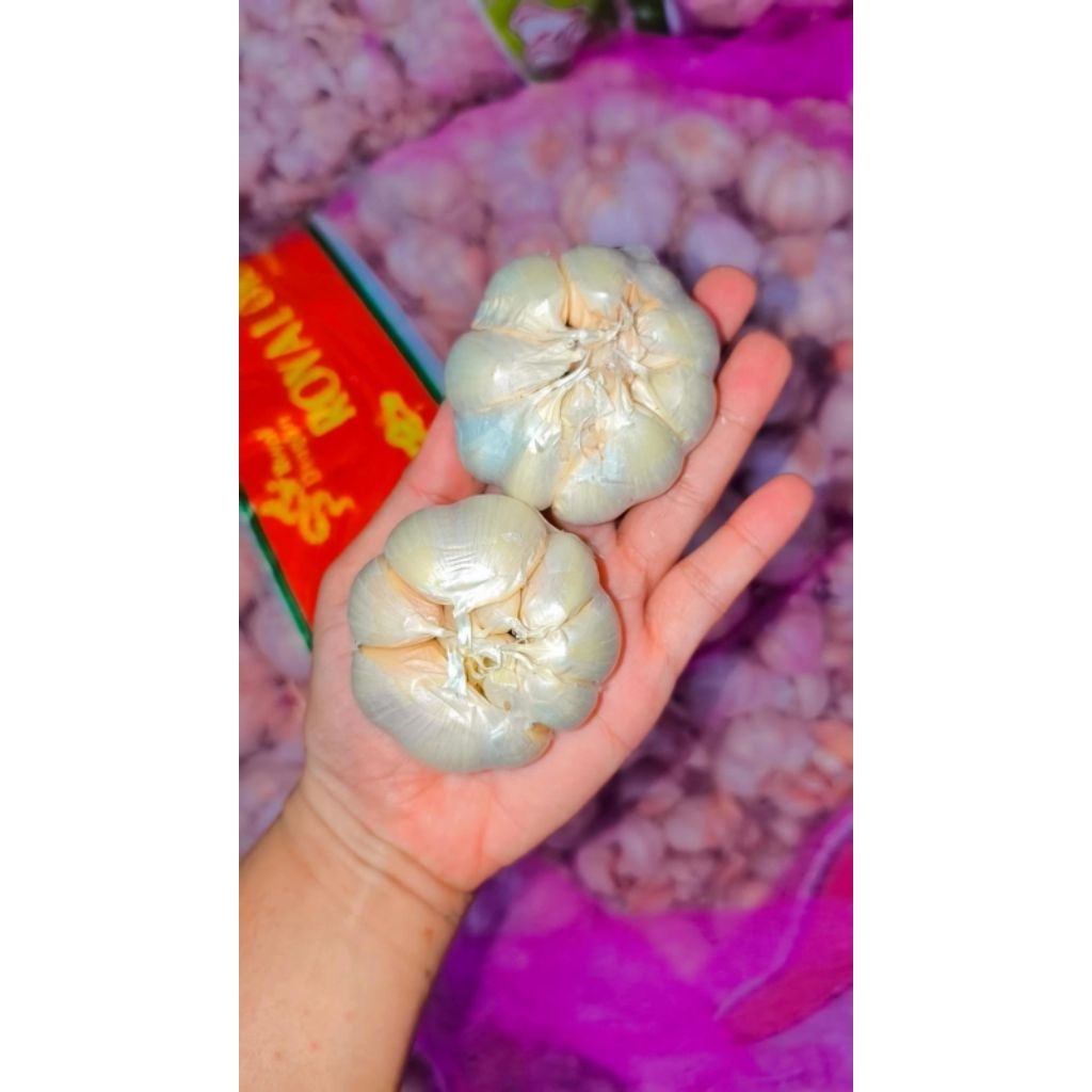 

bawang putih super fresh 1 kg