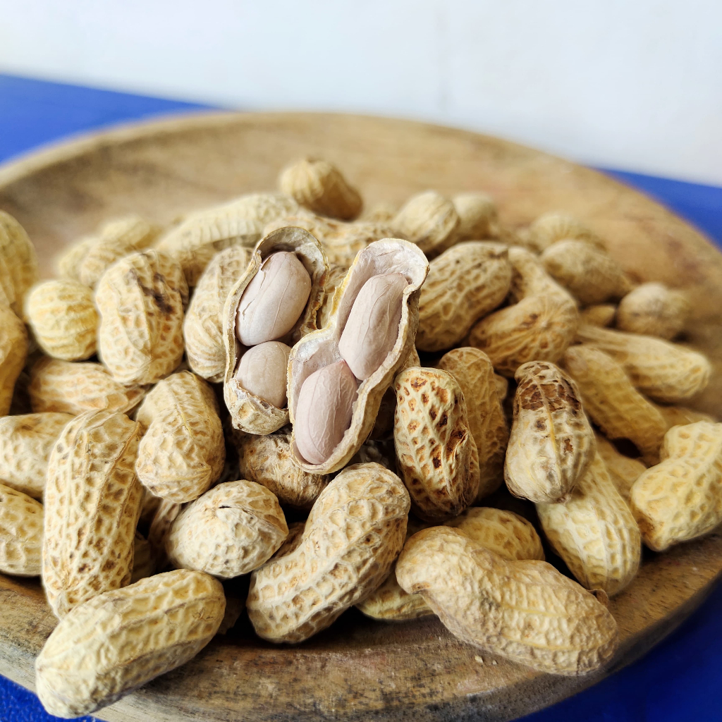 

KACANG KULIT OVEN PREMIUM SUPER GURIH