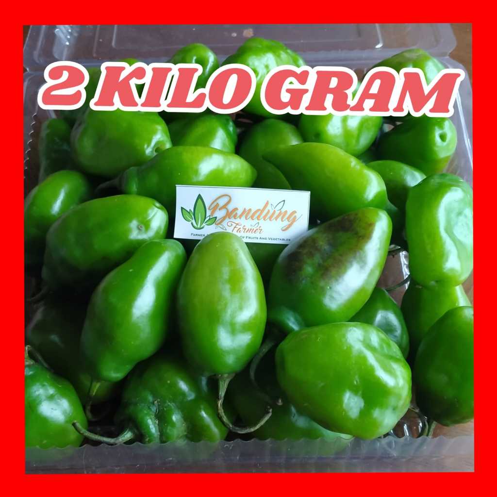 

CABE GENDOT 2 KG SEGAR FRESH ASLI BANDUNG/ CABAI GENDOT