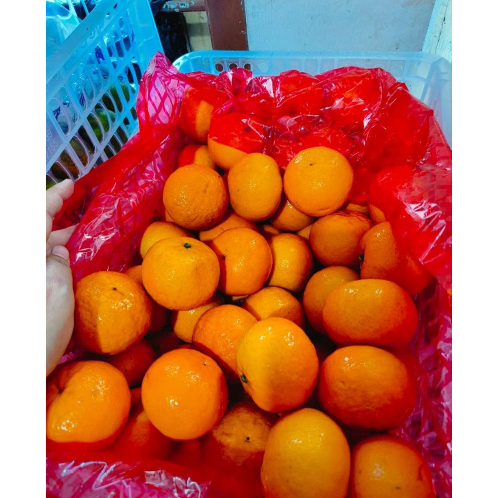 

jeruk wogan manis banyak airnya seger 1 kg