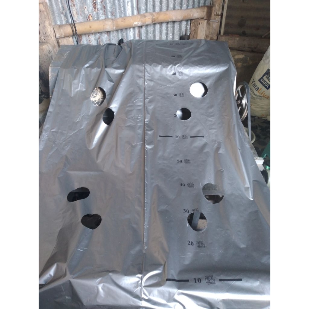 MULSA BELL 120 + LOBANG TANAM - mulsa bell bisa riquest model lobang