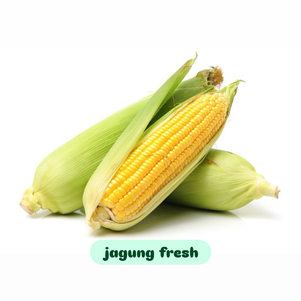 

Jagung fresh 1kg