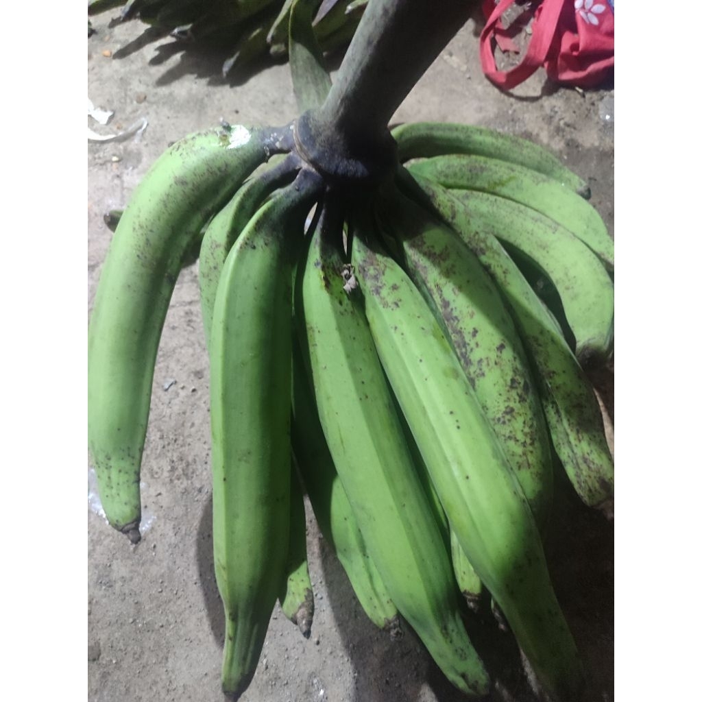 

PISANG GALEK /TANDUK PER KG